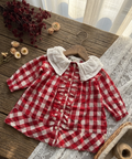Country Picnic frock