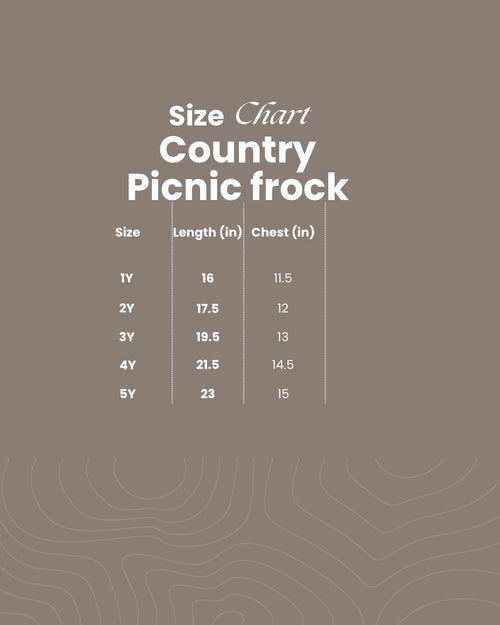 Country Picnic frock