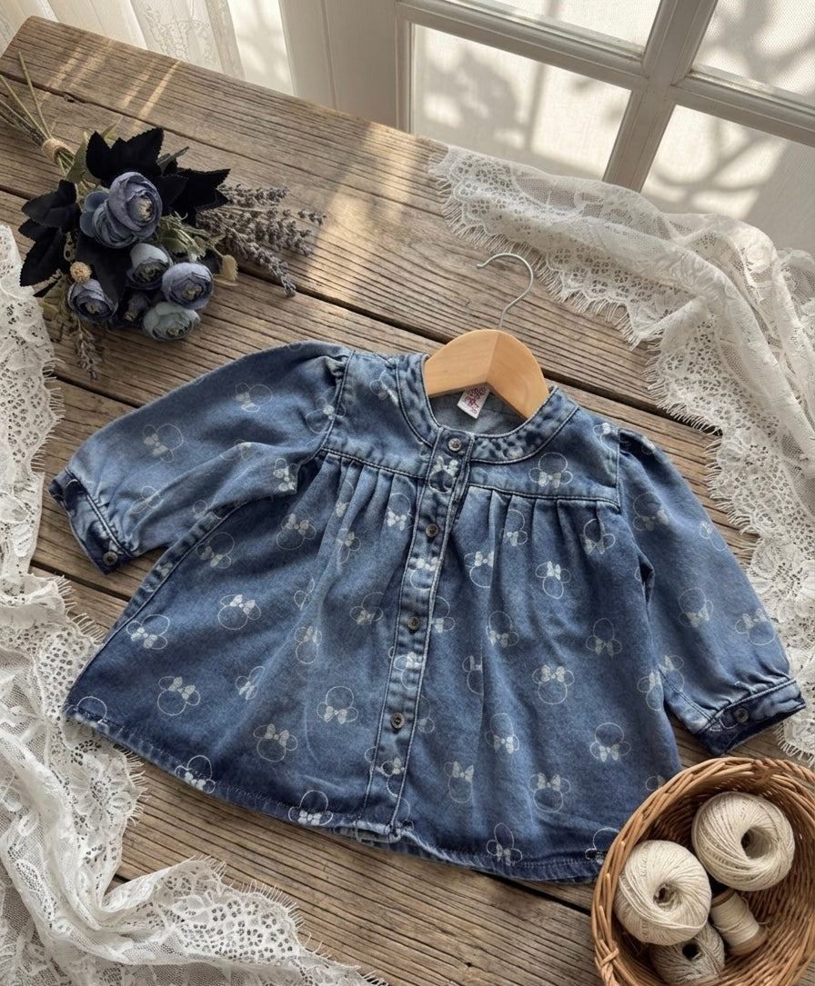Minnie Skater Denim Dress